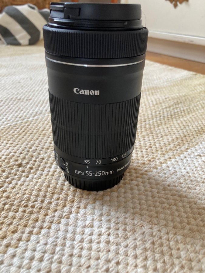 Canon EF-S 55-250mm 1:4-5.6 IS STM