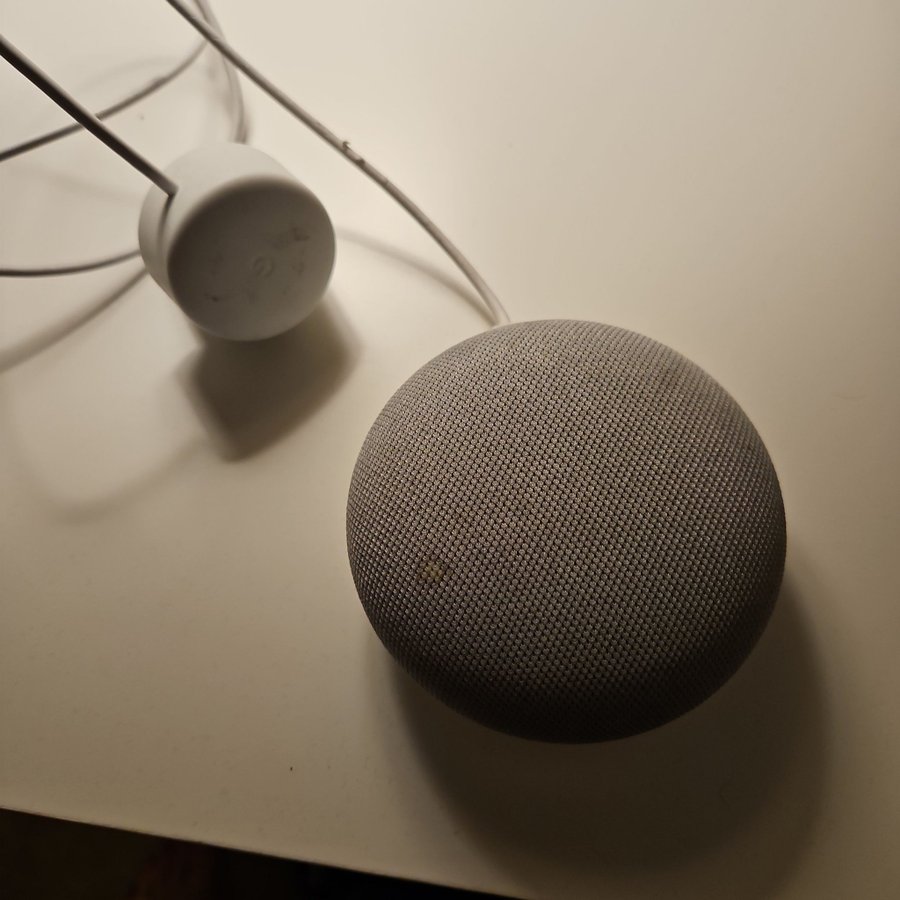 Google Home Mini