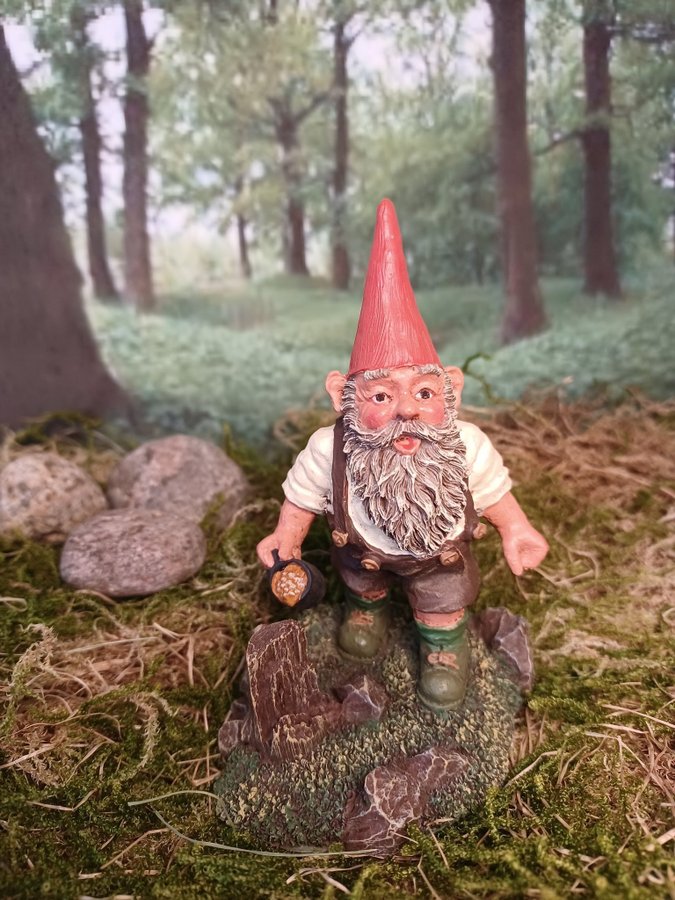 Gnomes, Tomtar, Rien Poortvliet