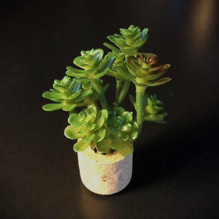 Miniatyr Grön växt krukväxt succulent dockskåp dockhus 1:12 eller 1:6