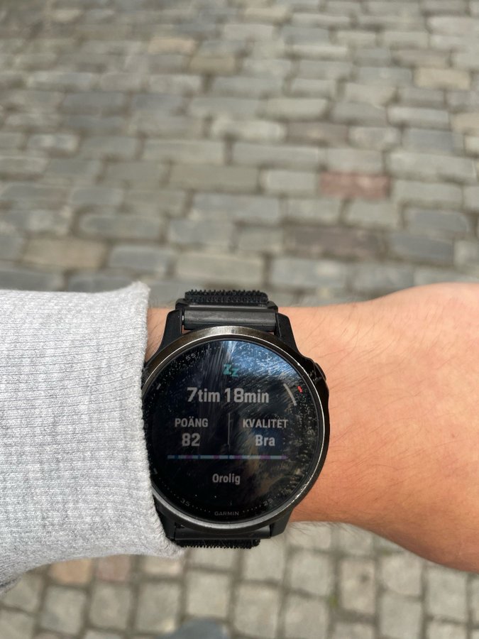 Garmin Fenix 6s