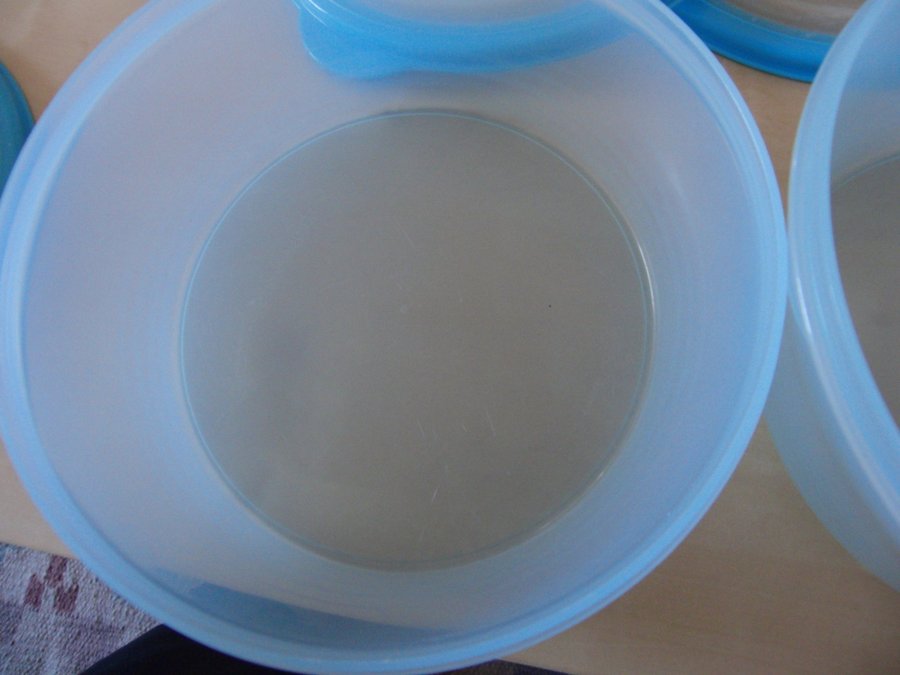 TUPPERWARE! 2ST BURKAR MED MJUKT LOCK! 1,4L+1L!