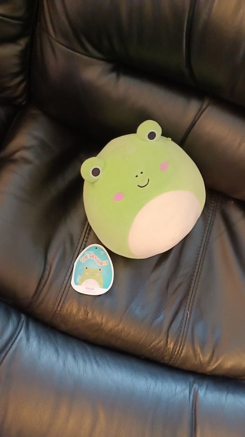 Squishmallows Groda