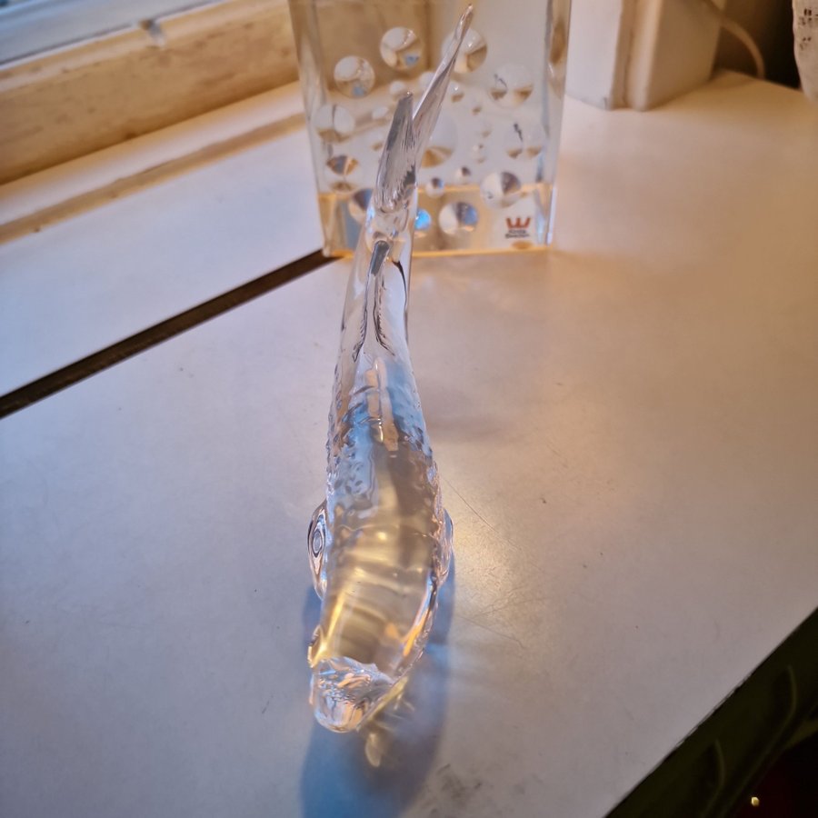 Fantastiskt fin fisk i klart glas