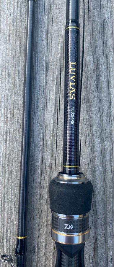 Daiwa Luvias 10’ 10-35g havsöringspö multi