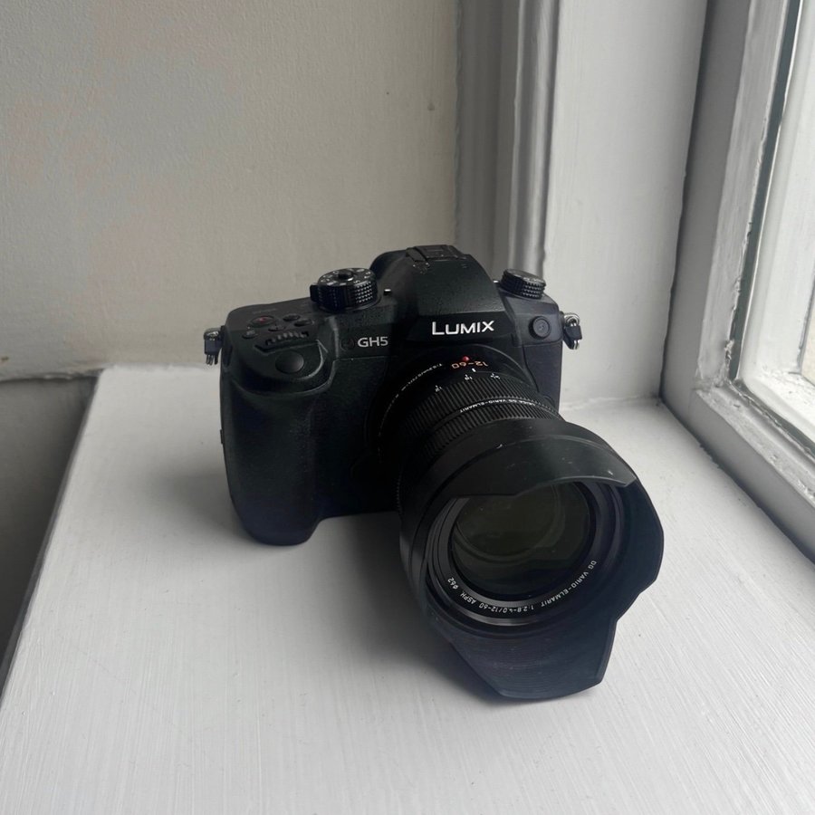 Panasonic Lumix GH5 + Objektiv Panasonic Leica DG Vario-Elmarit 12-60mm