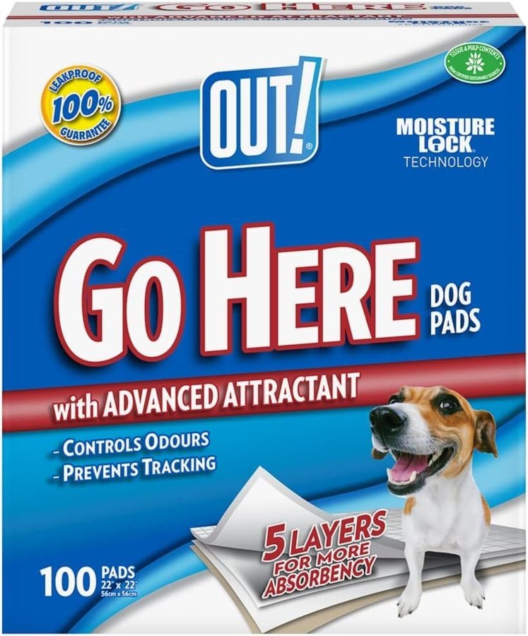 BID! OUT Go Here Absorbent Pet Training Pads, 56x56 cm, 100 Pads! New!