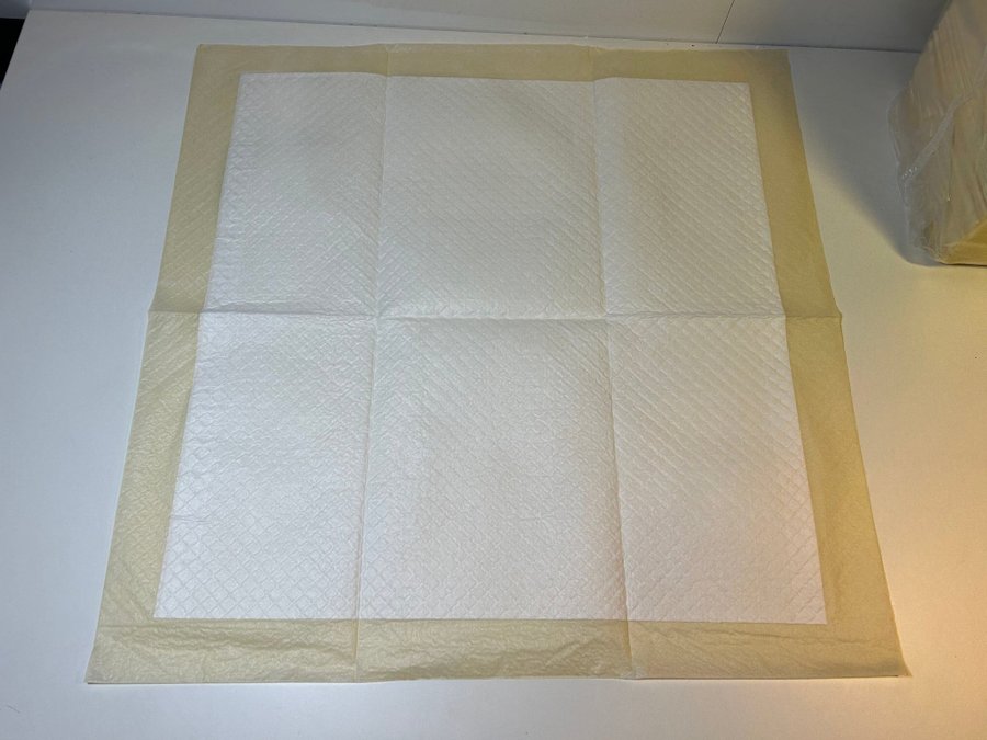 BID! OUT Go Here Absorbent Pet Training Pads, 56x56 cm, 100 Pads! New!