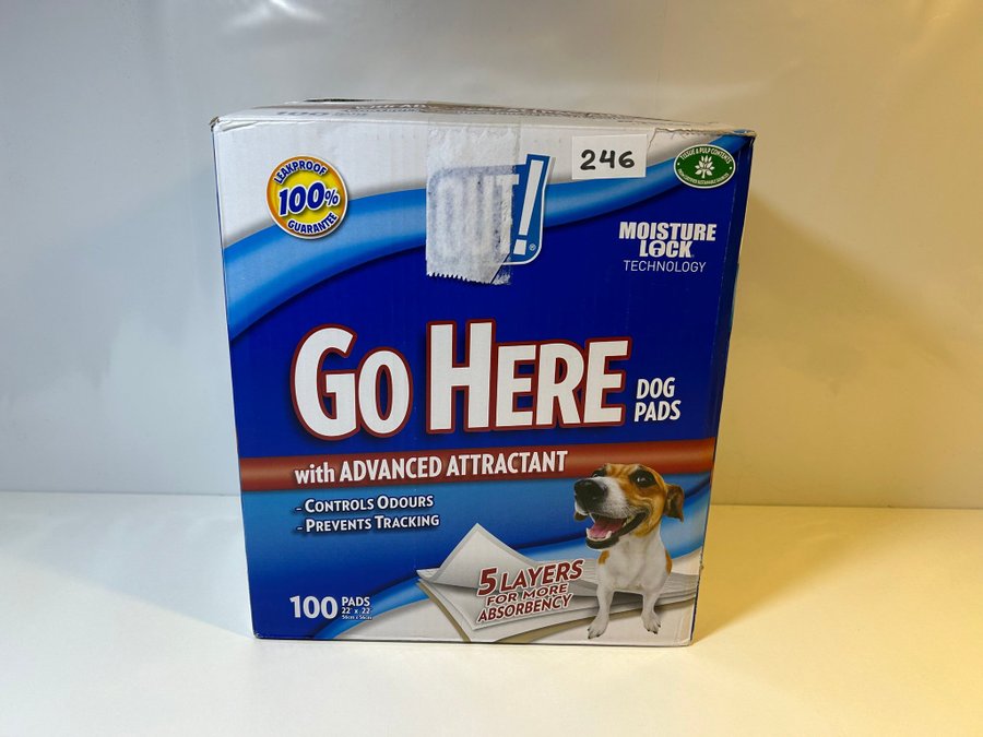 BID! OUT Go Here Absorbent Pet Training Pads, 56x56 cm, 100 Pads! New!