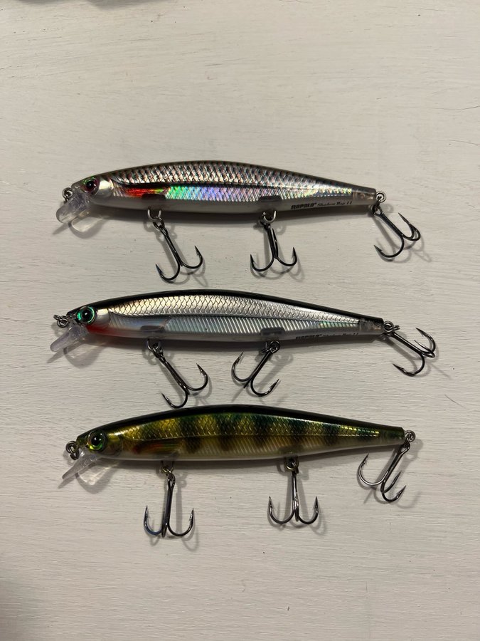 Rapala jerkbaits