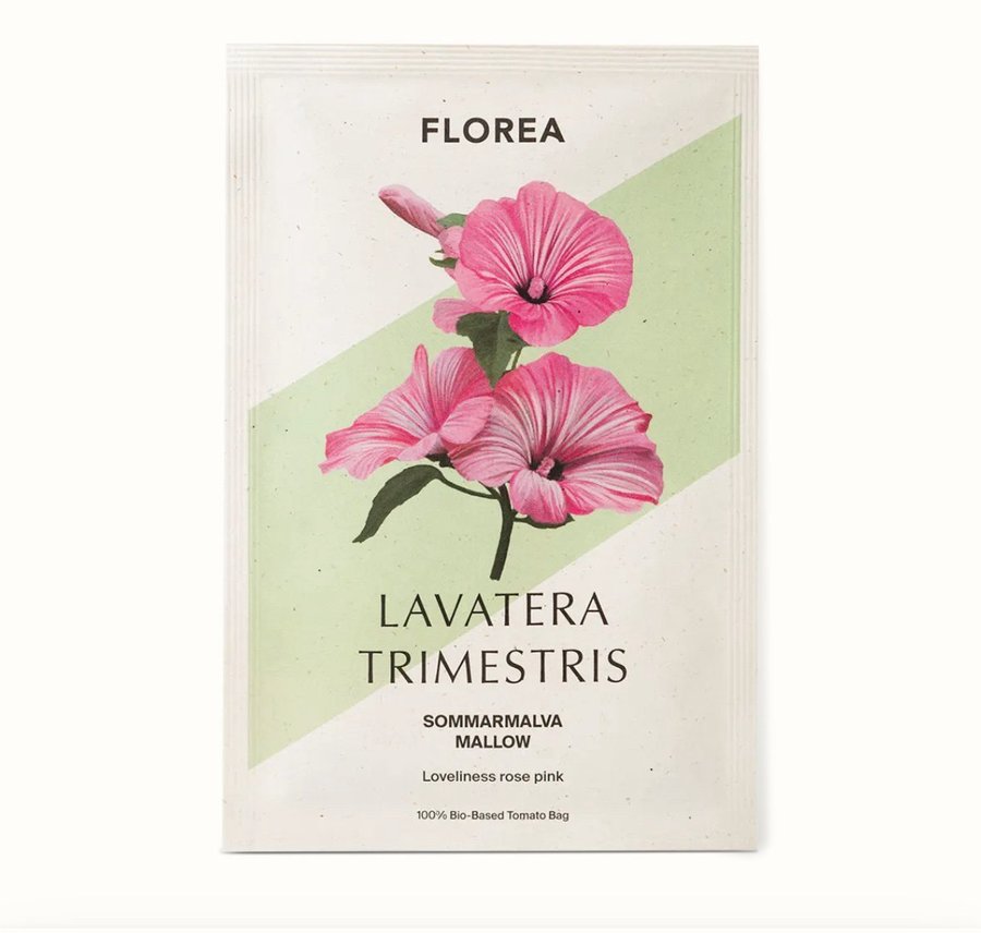 Frön från Lavatera Trimestris - Sommarmalva