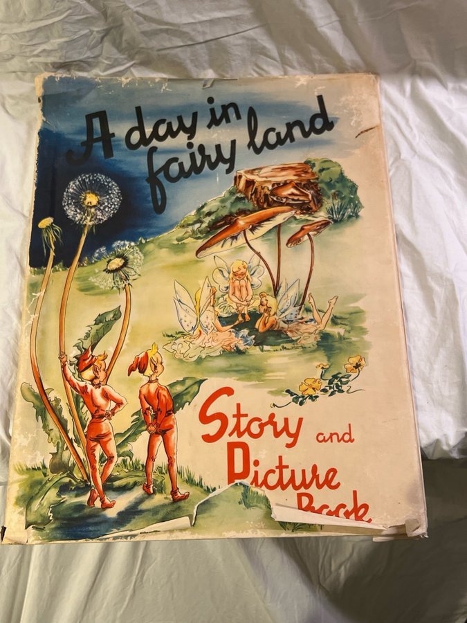 A day in fairy land - Story and Picture Book