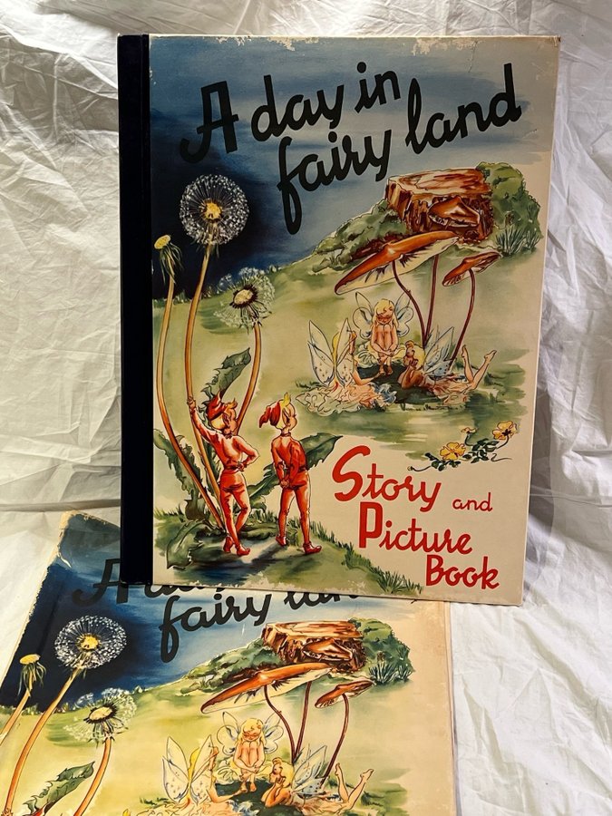 A day in fairy land - Story and Picture Book