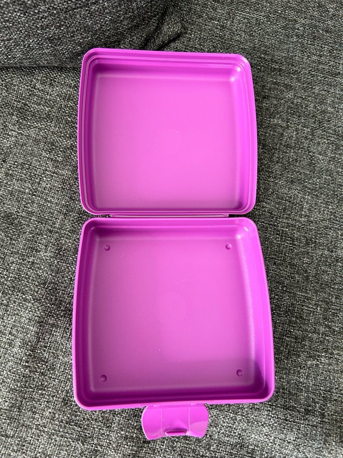 Tupperware matlåda perfekt för utflykt!