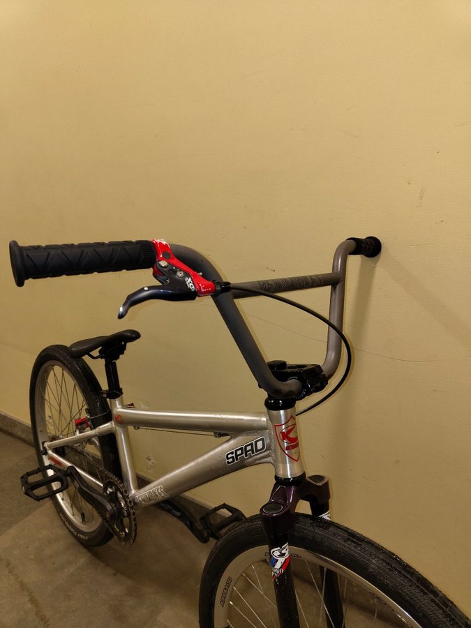 Custom 24" Race BMX w/ carbon fork etc