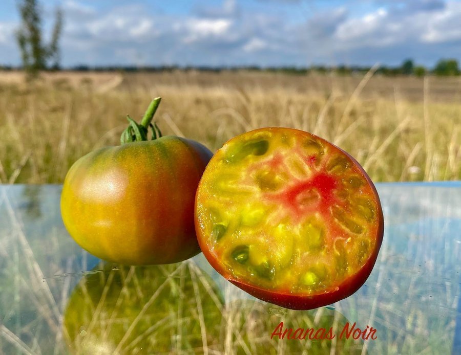 ANANAS NOIR - Skönhet med häpnadsväckande smak! tomat frön