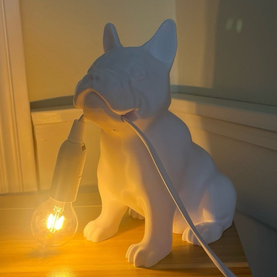 Söt fransk bulldogg lampa