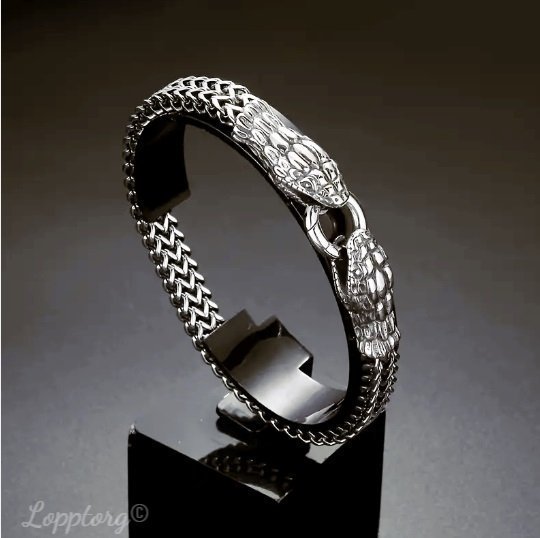 Snake titanarmband ormlänk nickelfri bangle viking keltisk nordisk drake