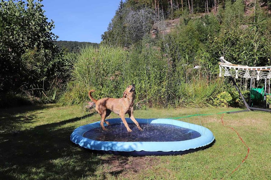 Hundpool Vattenspridare Blå 170 cm PETEAST