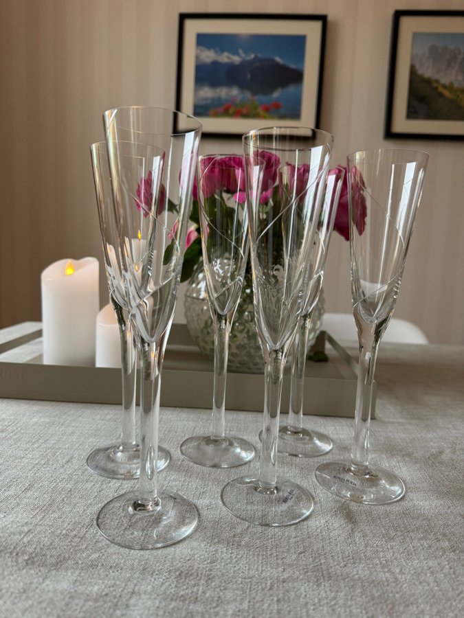 Line, Kosta Boda champagneglas 6st