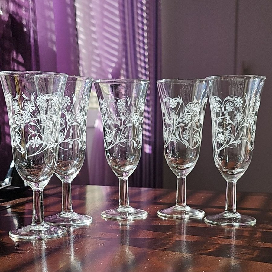 5 st vintage champagneglas etsad dekor 1900-talet