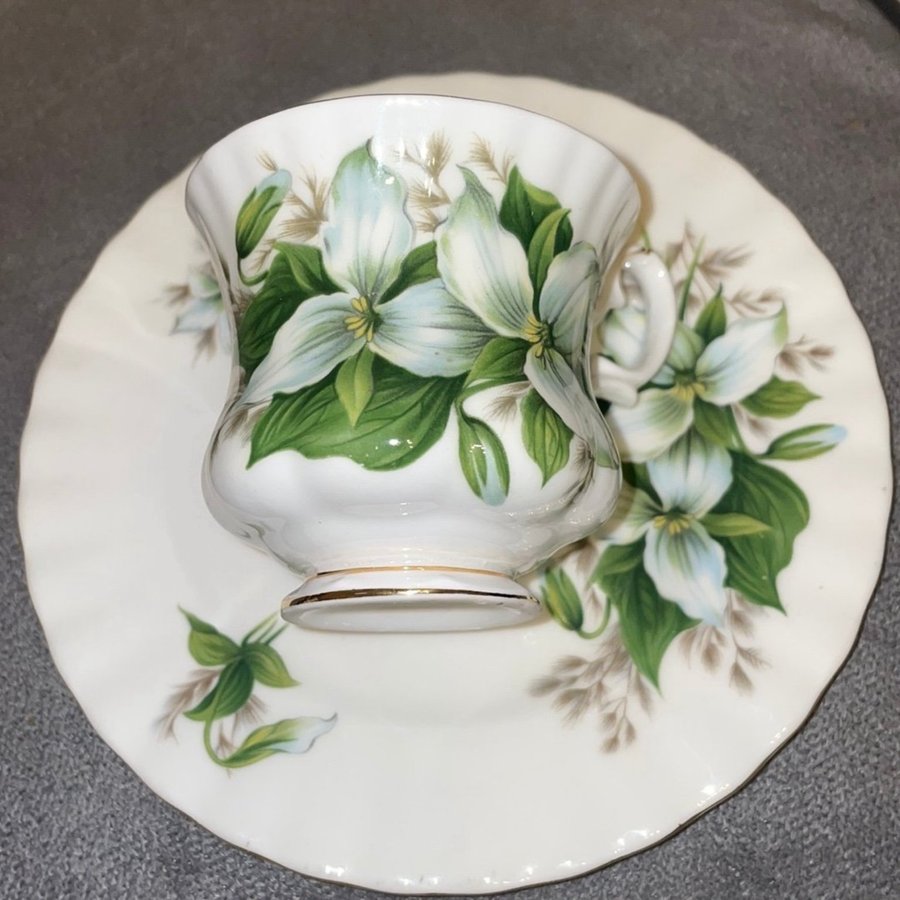 Royal Albert -”Trillium”2st. Koppar  1 Fat-Bone China England