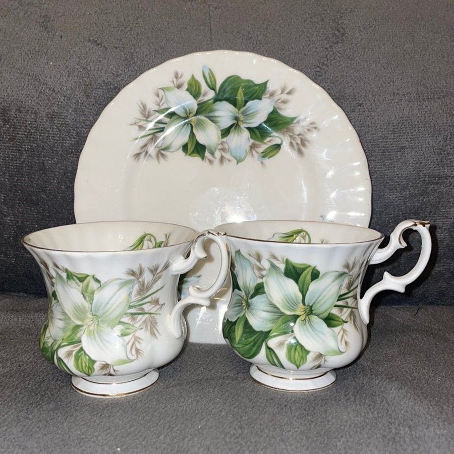 Royal Albert -”Trillium”2st. Koppar  1 Fat-Bone China England