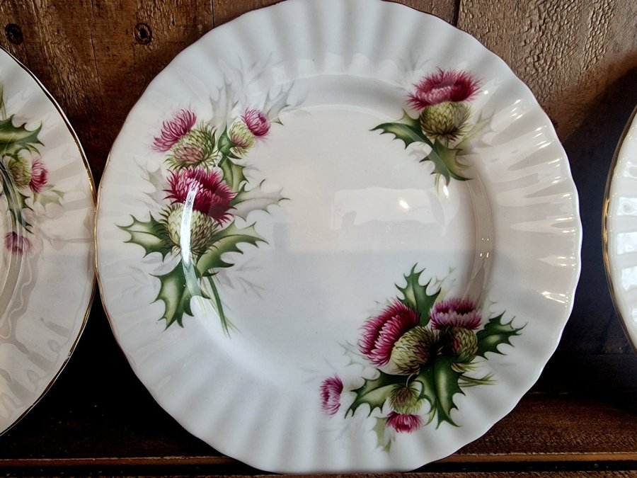 Royal Albert Highland Thistle 4 st assietter i perfekt skick bone china