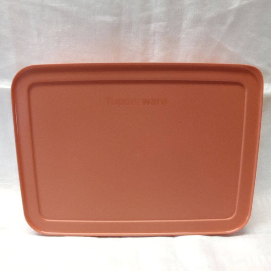 Tupperware freezersmart 225L NY