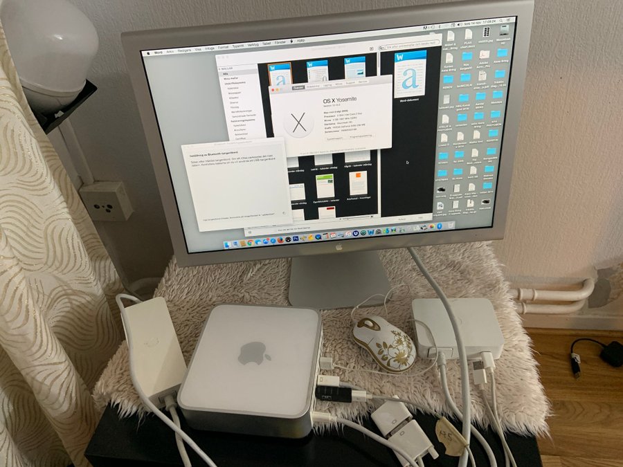 Mac Mini (2009) med Apple Cinema Display