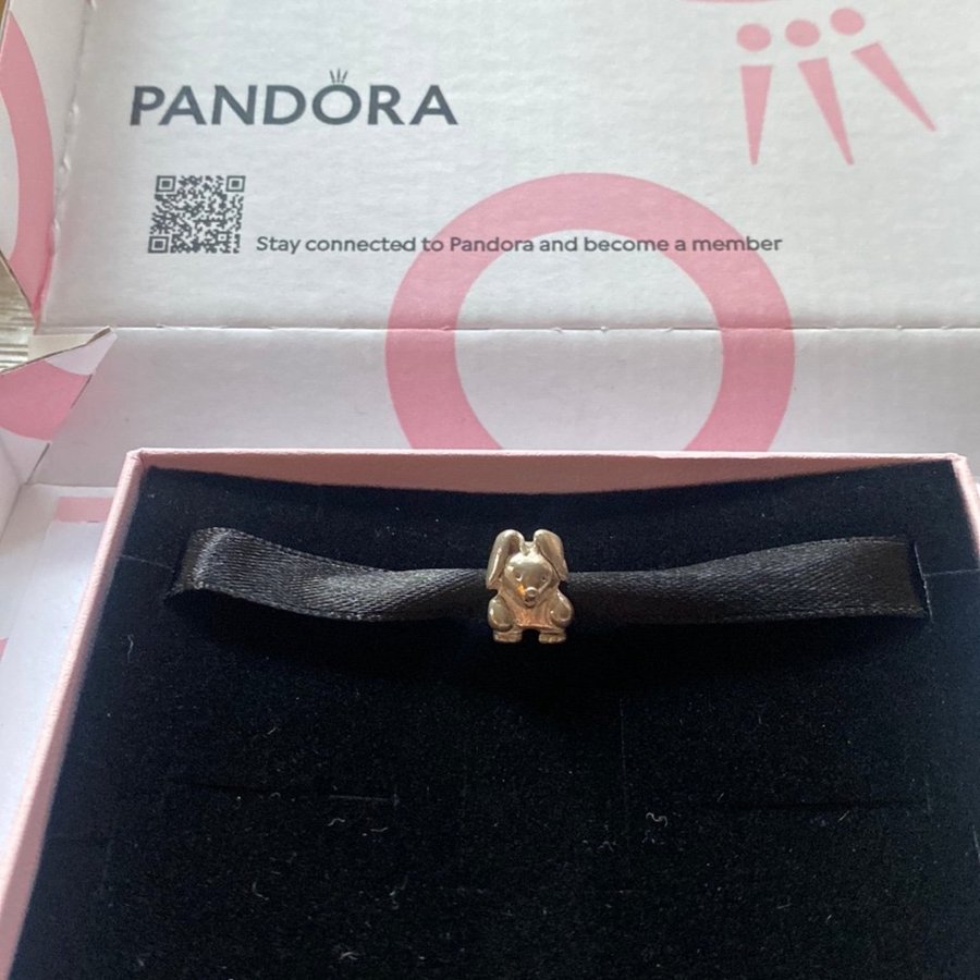 Pandora Charm Kanin