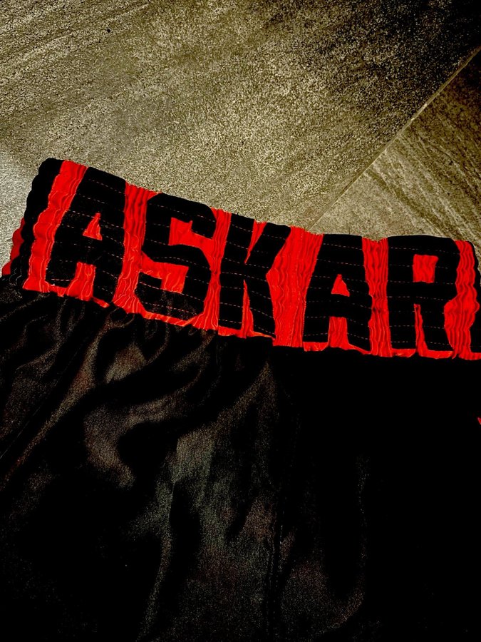 ASKARI shorts | Strl L