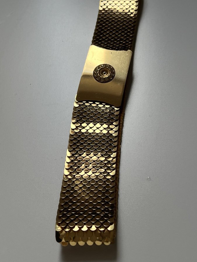 Amazing vintage gold scale stretchy belt