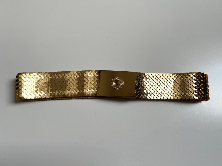 Amazing vintage gold scale stretchy belt