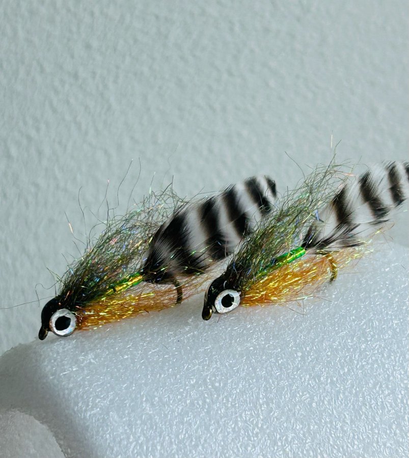 2 st baitfish Grizzly