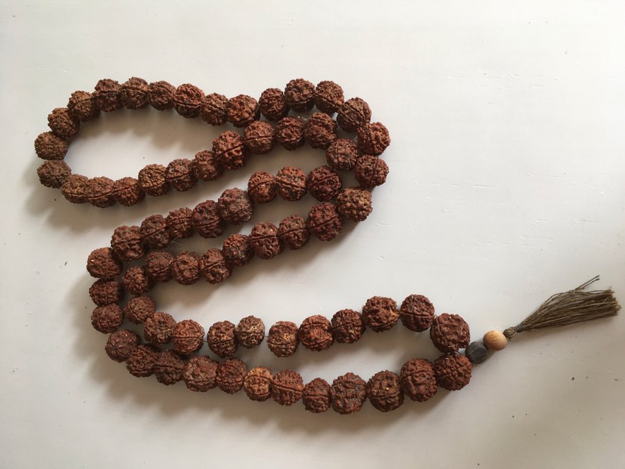 Long mala necklace of indian rudrashka beads