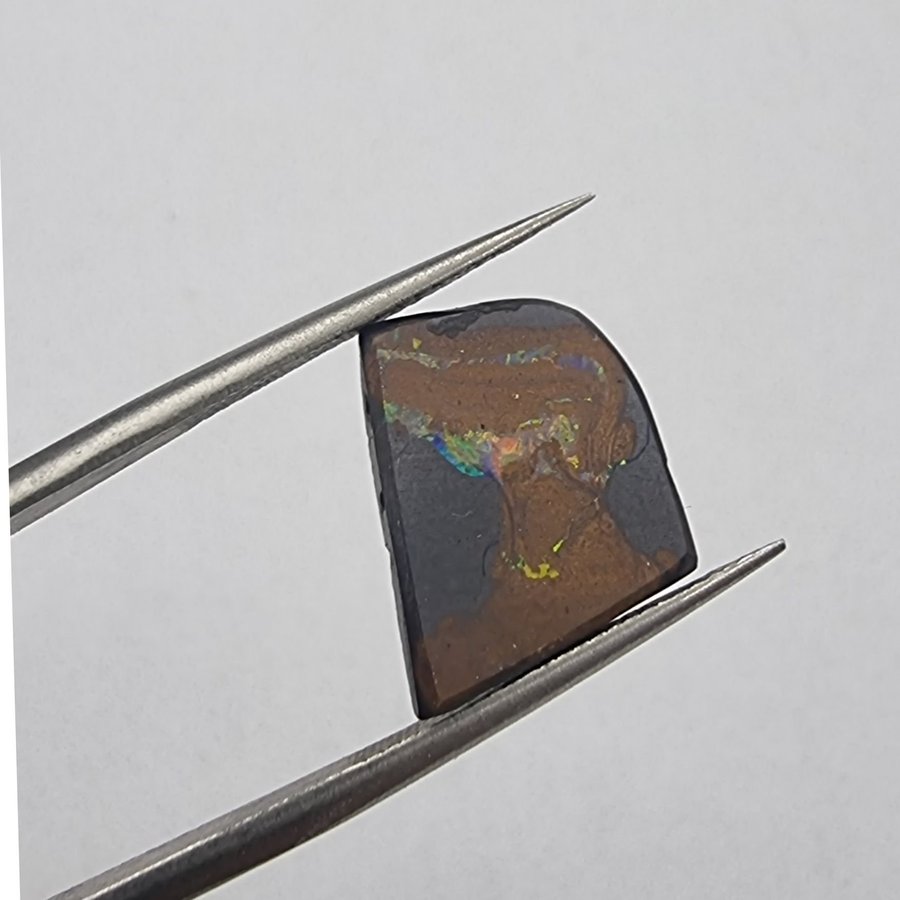 "Johny Bravo" Boulder opal from Opalton, Queens Land, Australia