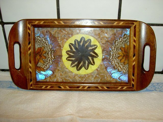 Vintage Bricka "Brasilian Butterfly tray" Fjärilsbricka Taxidermy 40 tal