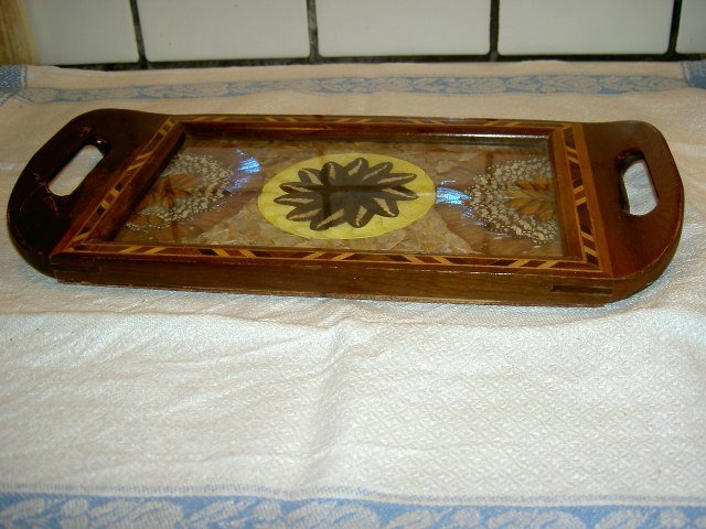 Vintage Bricka "Brasilian Butterfly tray" Fjärilsbricka Taxidermy 40 tal