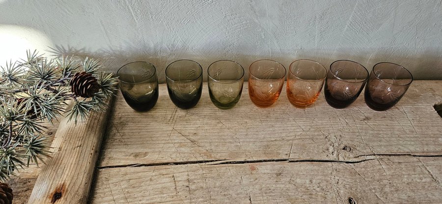 7 vintage snapsglas med gravyr