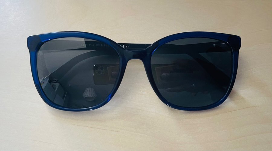 Tommy Hilfiger TH1860/RE Sunglasses