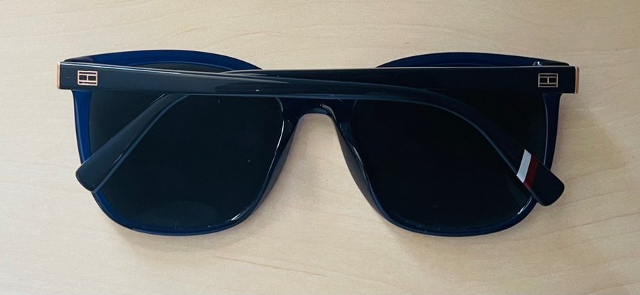 Tommy Hilfiger TH1860/RE Sunglasses