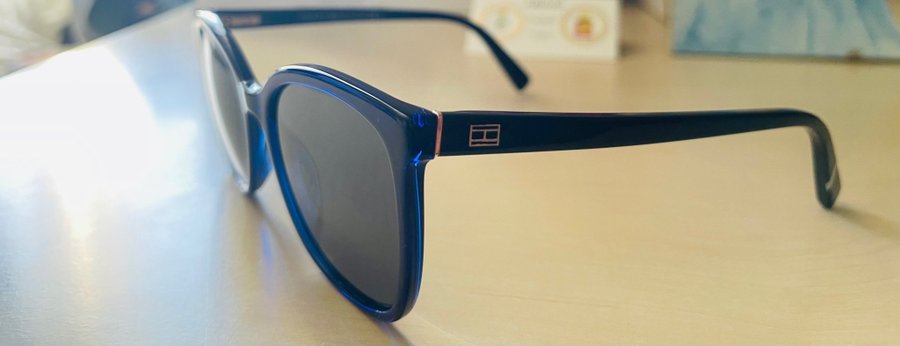 Tommy Hilfiger TH1860/RE Sunglasses