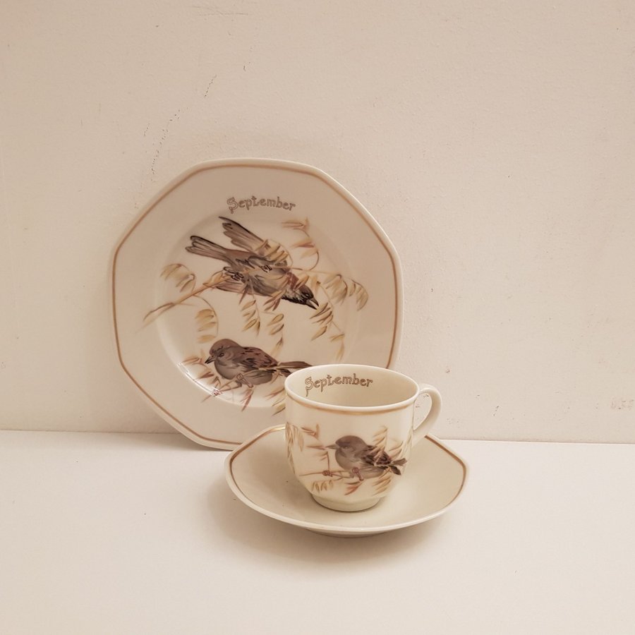 Heinrich Tyskland Villeroy  Boch Set med 1 tekopp/Kaffekopp med assiett