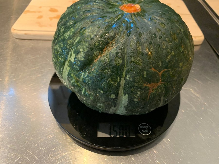 Ekologiska Kabocha Pumpafrön – Från KRAV-certifierade Pumpor