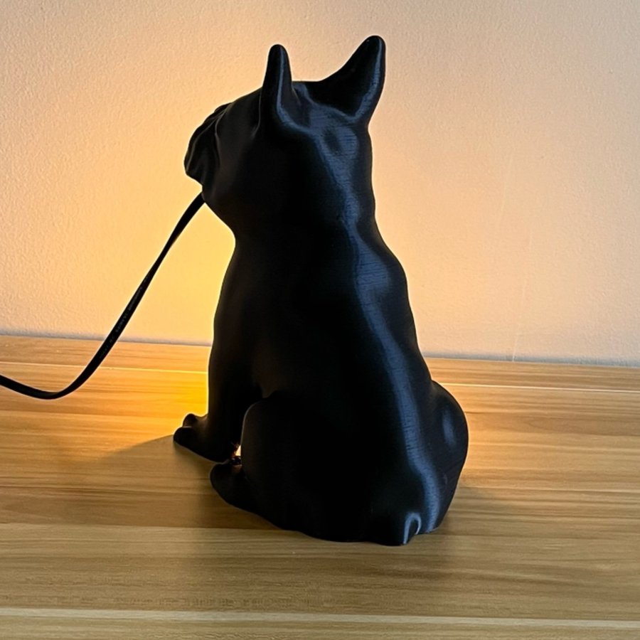 Hundlampa