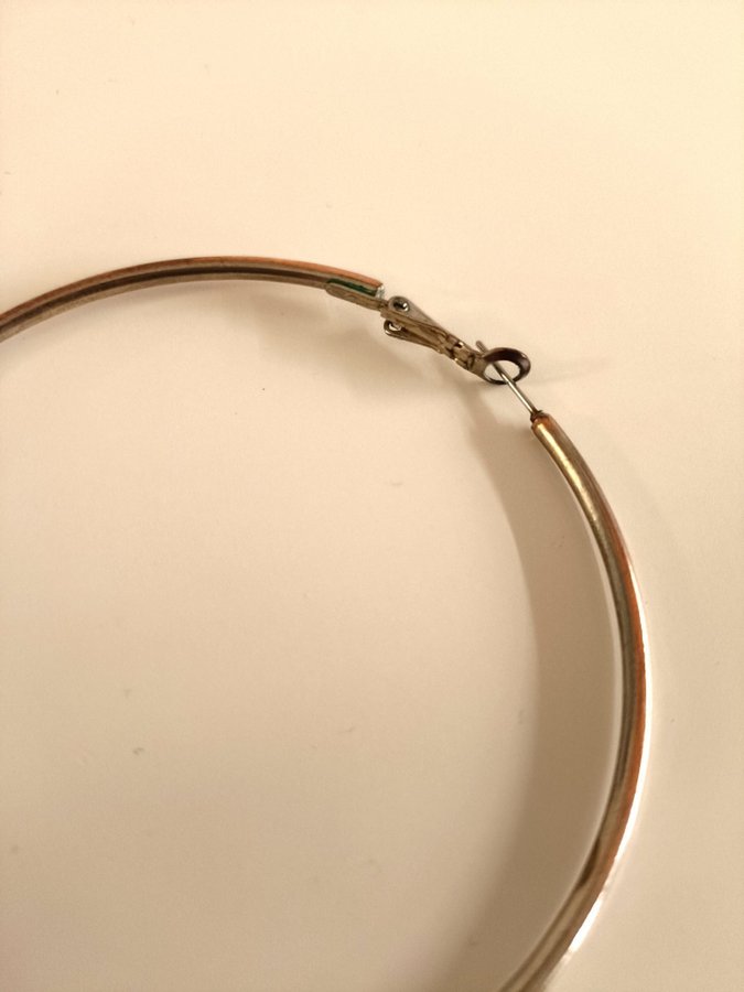 Två Hoops örhängen (Two Hoops Earrings )