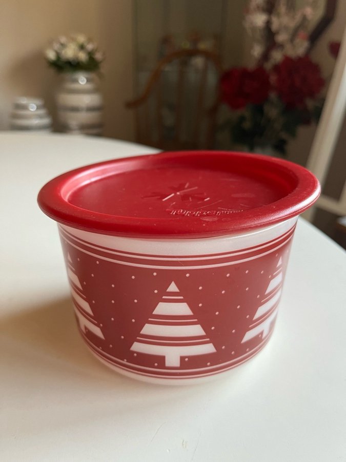 Tupperware demo litenJulburk