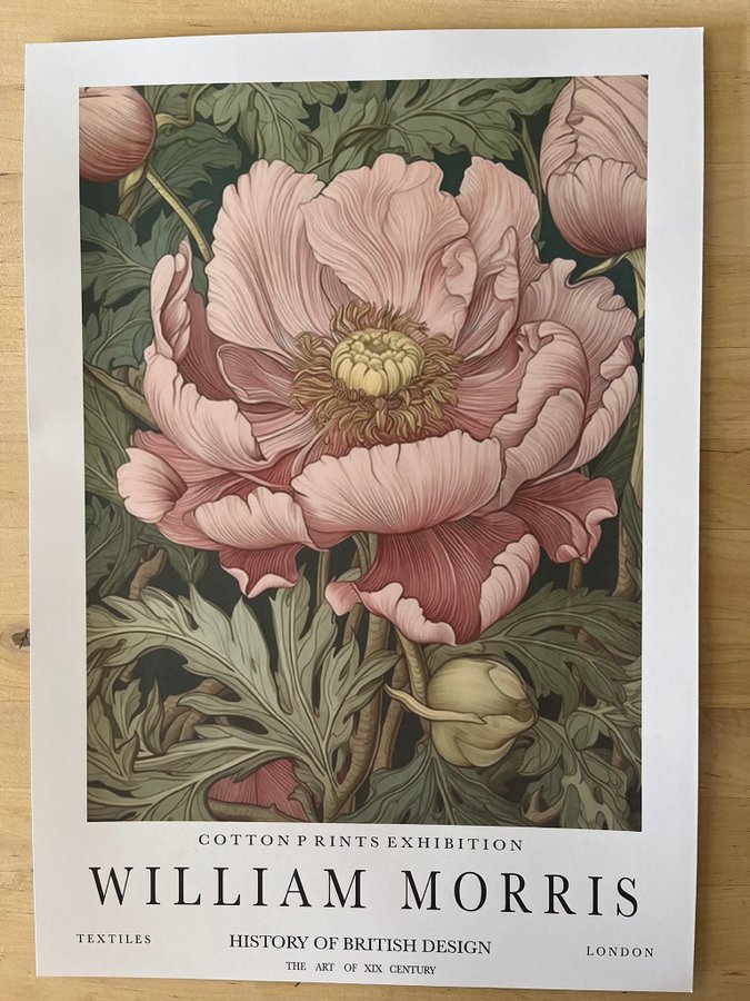 Poster A3 William Morris ”Ranunculus”