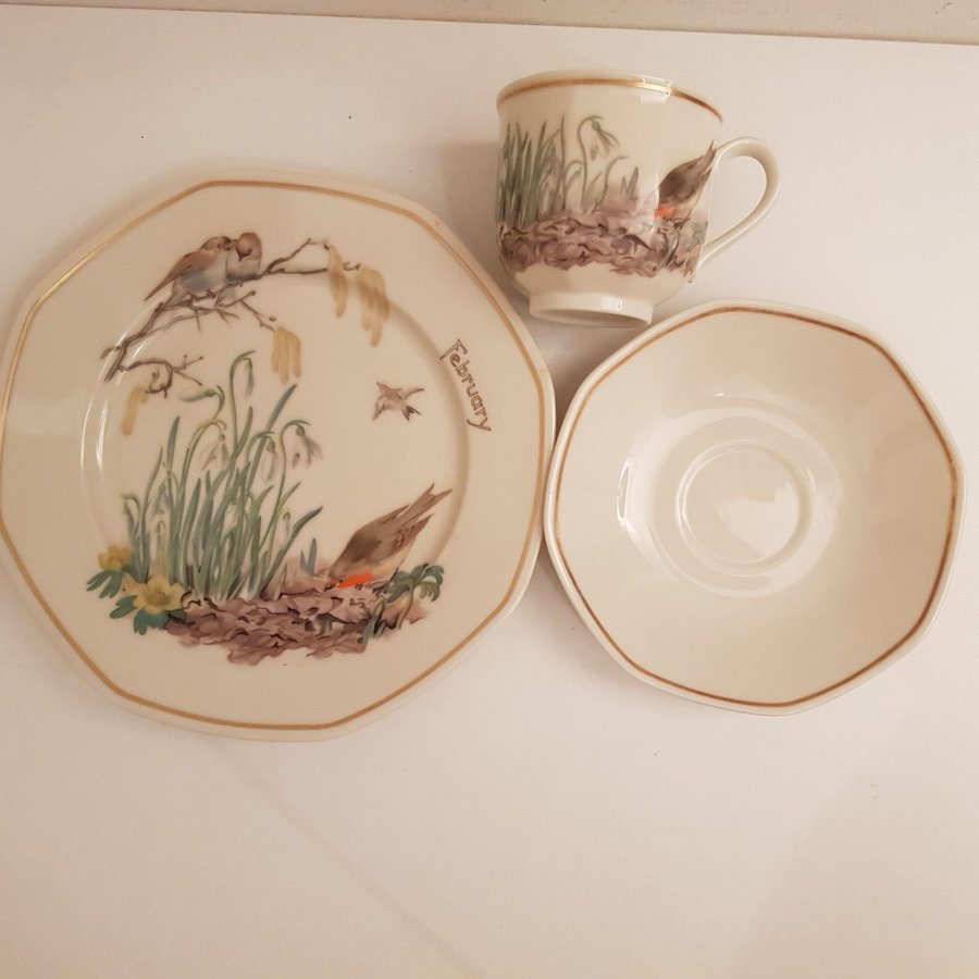 Heinrich Tyskland Villeroy  Boch Set med 1 tekopp/Kaffekopp med assiett januar